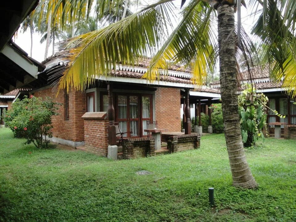 Шри ланка клубы. Club palm отель шри ланка. Шри-ланка маравила club palm bay. Club palm bay 4* (маравила). Шри ланка клубы.
