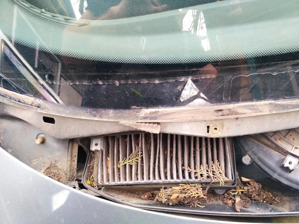 Как снять жабо на приоре Жабо приора2 и сетка в соты Lada Приора хэтчбек, 1,6 л, 2012 года стайлинг DRI