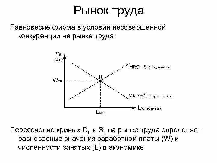 Формирования спроса и предложения труда. Формирования спроса и предложения труда