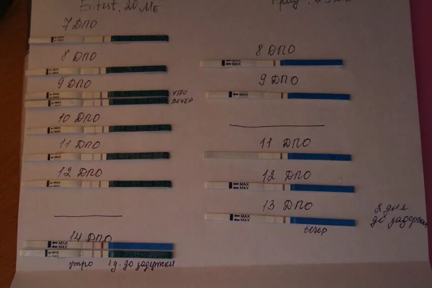 Тест на беременность рез. Тест на беременность упаковка. Сколько тест отзывы. Тест может показать беременность до задержки за 1 день-. Тест на беременность коробка.