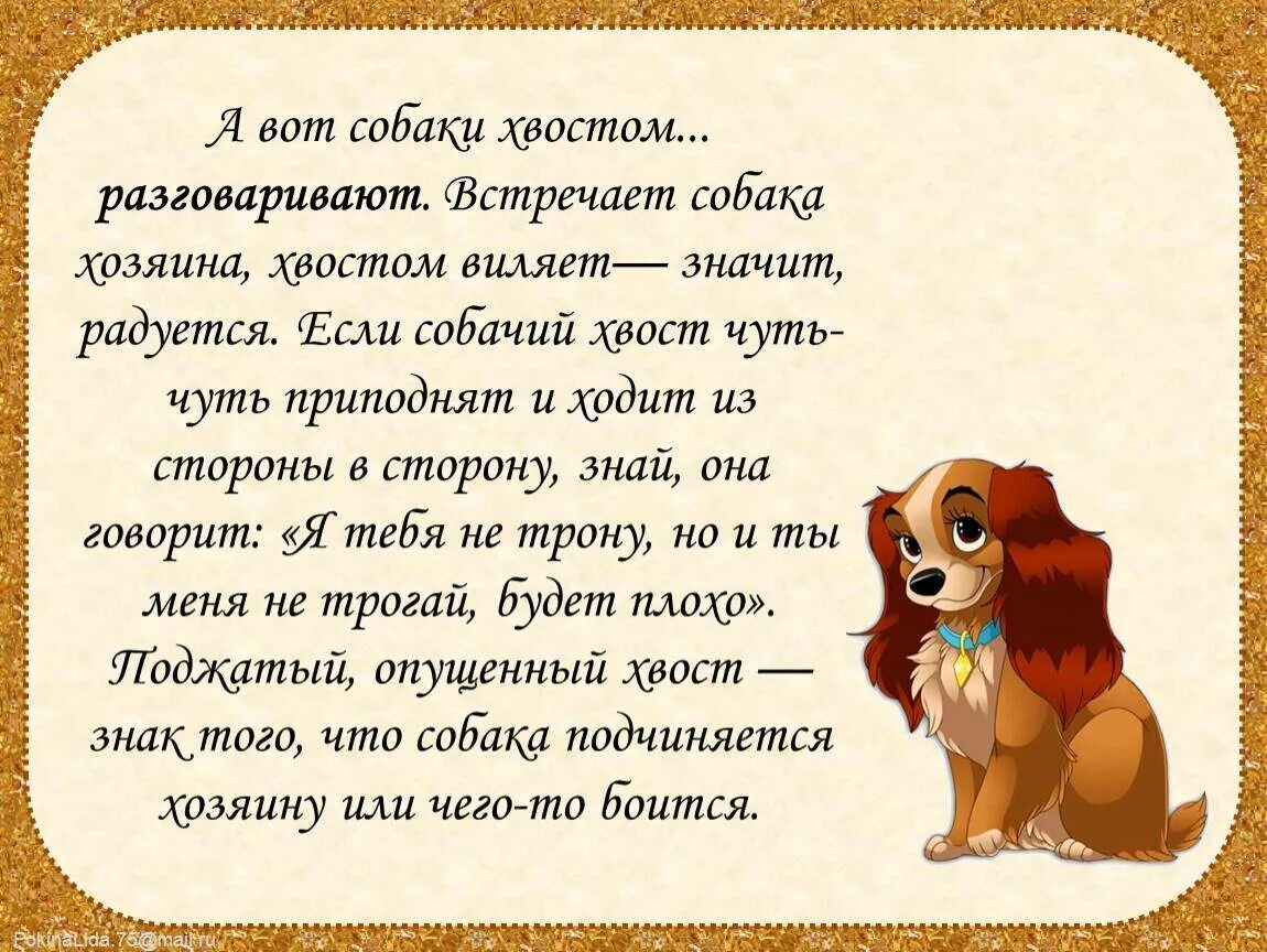 Почему собачка