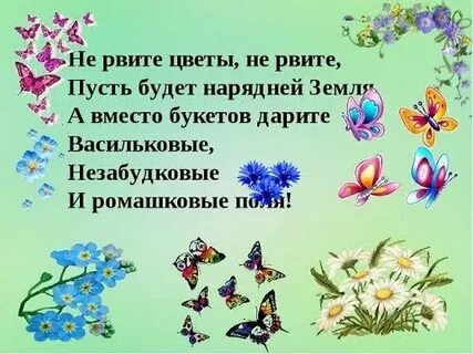 Не рвите цветов не рвите слушать