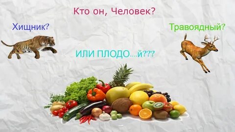 Плодоядные животные