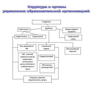 Структура управления социальным учреждением