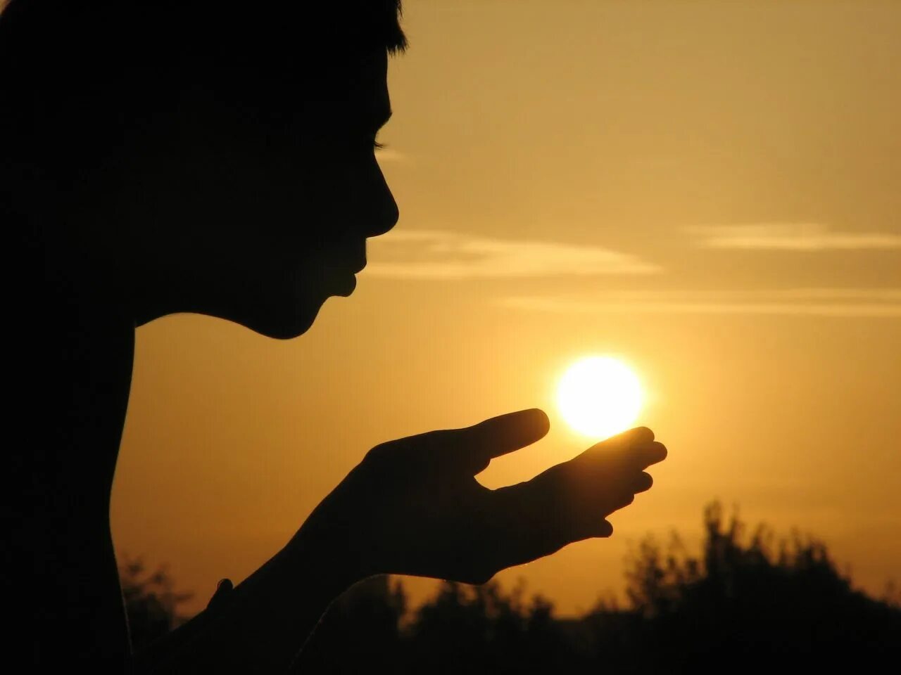 Солнце в ладошках. Солнце сквозь ладони. Солнце. Солнце на ладони. Солнце на ладони.