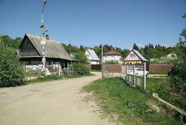 Погода в андреевском одинцовского