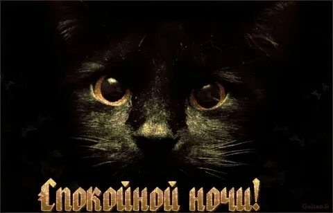 Споки ноки картинки прикольные смешные