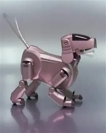 Собак роботов bad 2. Sony aibo 1999. собака робот айбо. aibo робот-собака от sony. собачка aibo корпорации sony..