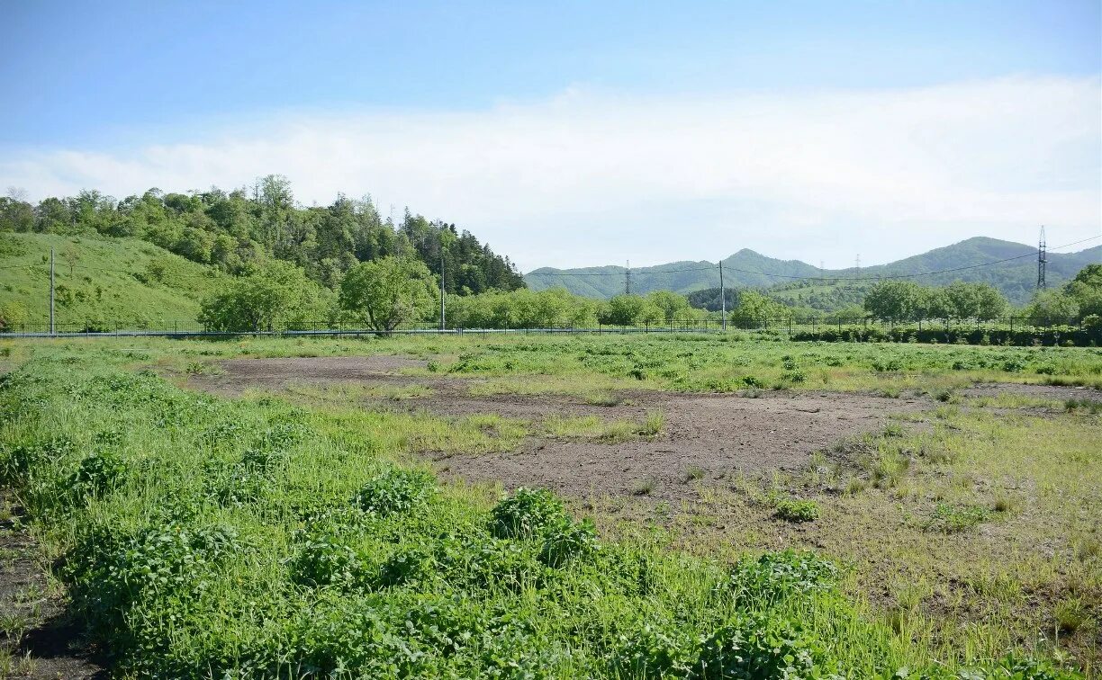 Сайт костромское село. Костромское сахалинская область. Река лютога. Холмск костромское. Оборванная железная дорога.