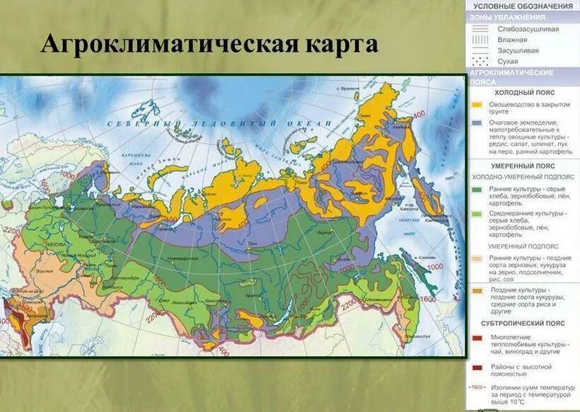 Какие районы распространения