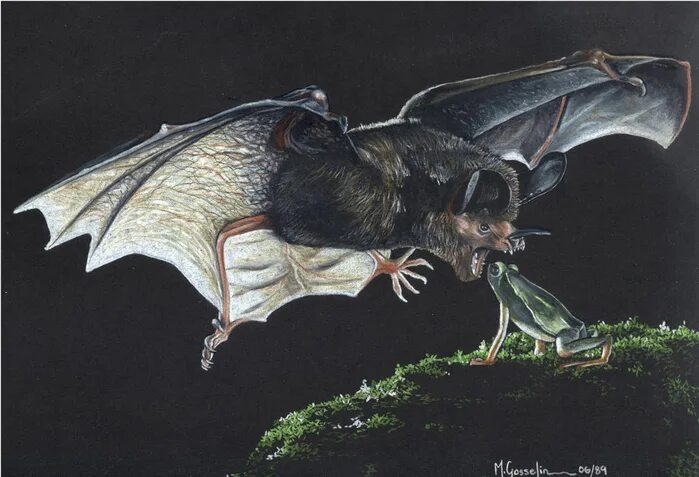 бэтмен. рисунки супергероев. The bat иконка. летучая мышь серая маленькая.