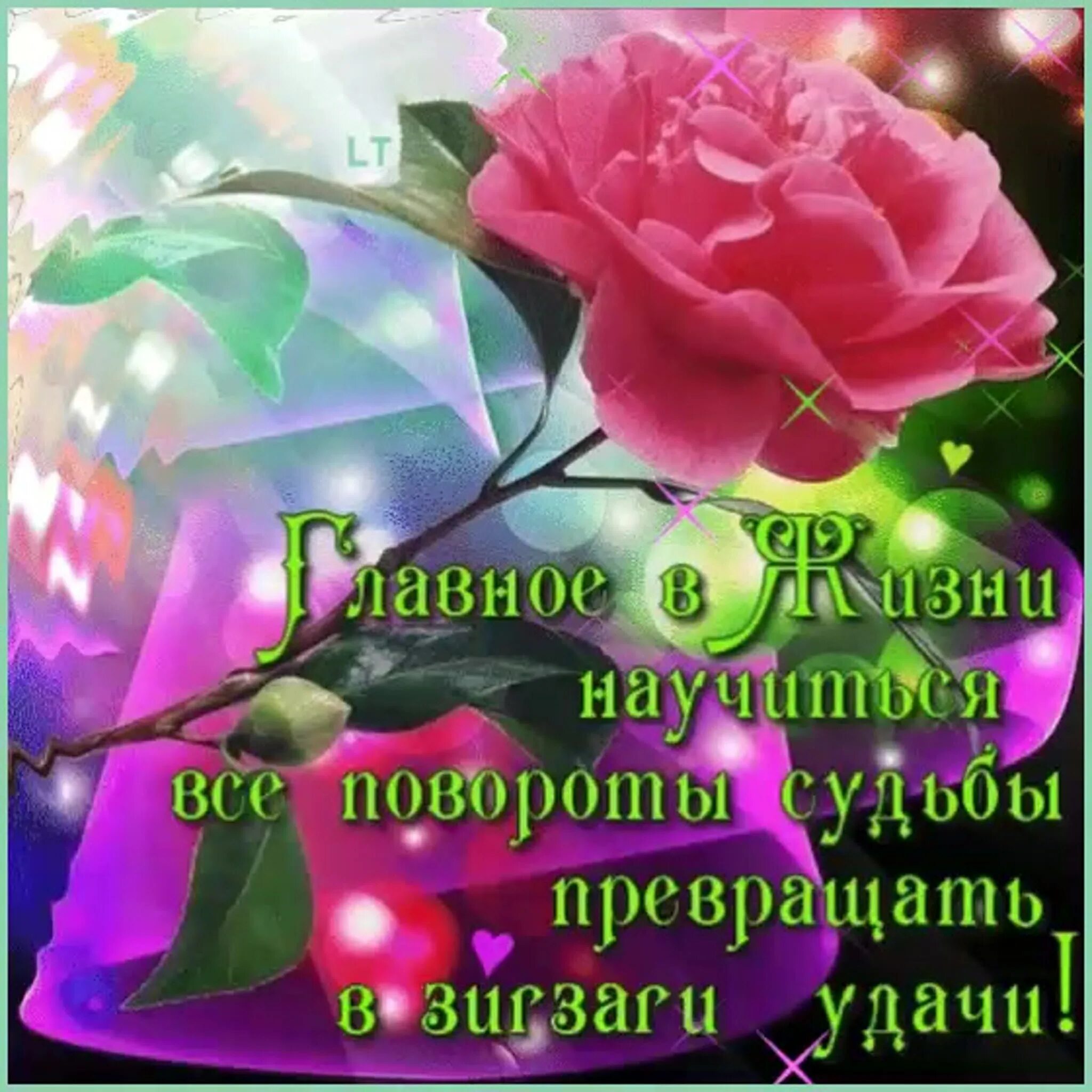 К вам: найдено 80 изображений