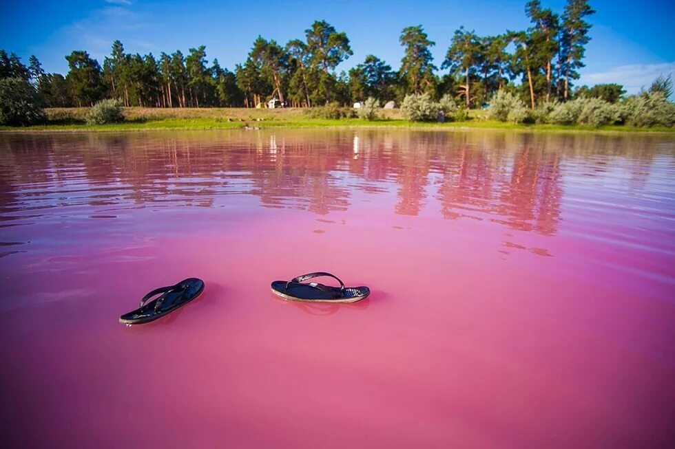 Бурсоль озеро алтайский край. Алтай розовое озеро отдых. Алтай розовое озеро отдых. Розовое озеро алтайский край бурсоль. Малиновое озеро алтайский край михайловский район.