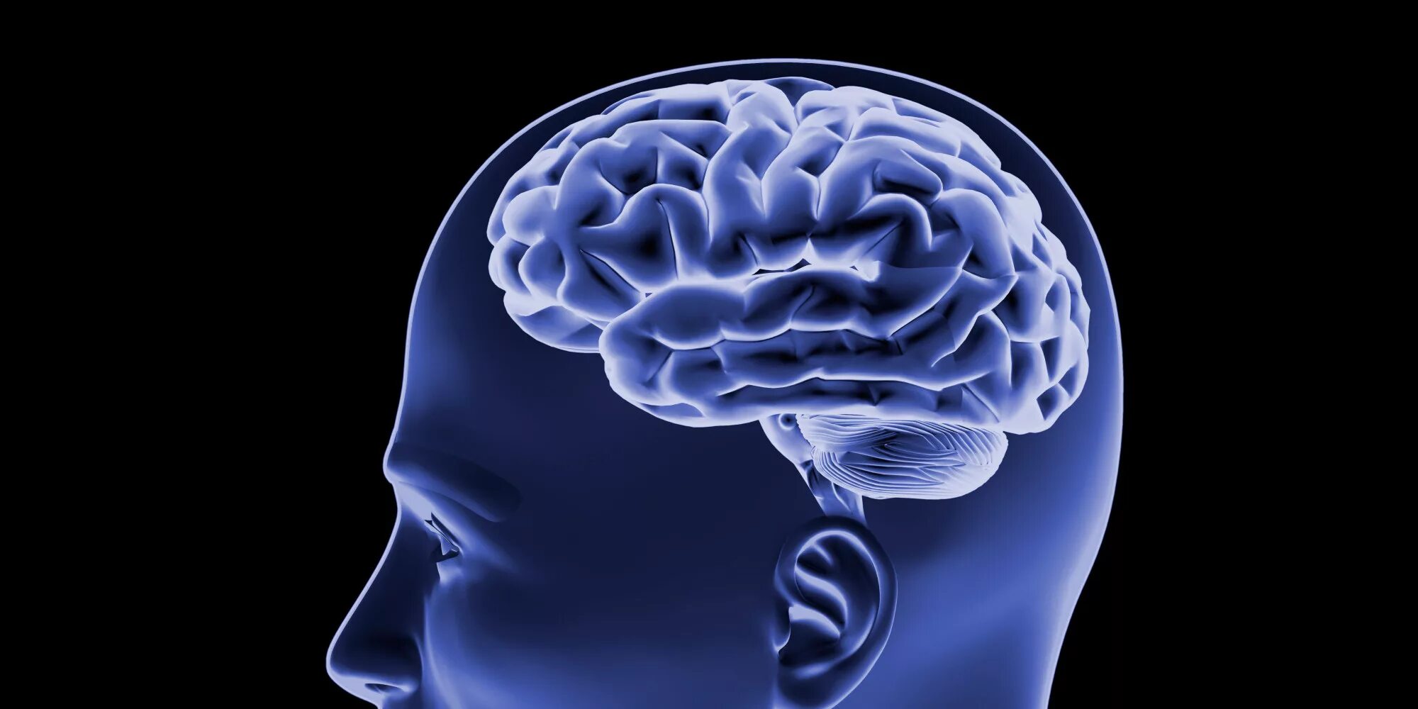Мозг человека рентген. Мозг человека на тёмном фоне. Глубокая стимуляция мозга.