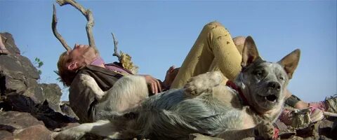 Mad max собака
