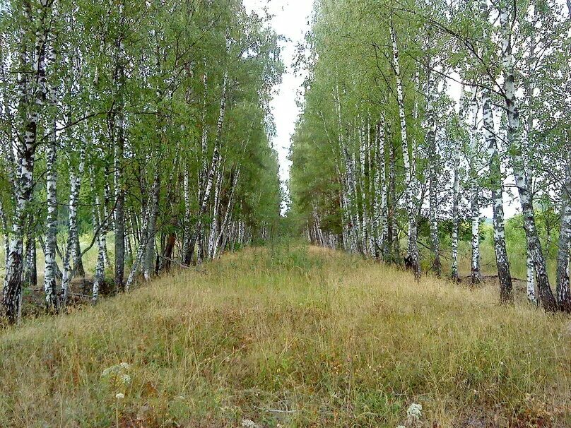 Погода в старых дорогах на 10. Мелюхино. Фото Мелюхино. Школу в Мелюхино. Искитим Булгаковка Старая дорога.