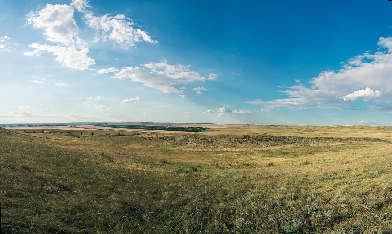 Bempir. Bempir net. Оставить отзыв о сайте мошенников. Bempir net. Bempir net.