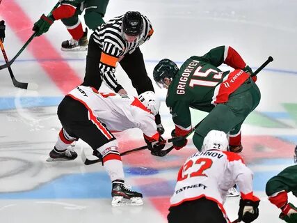 Снежные барсы кузнецкие медведи