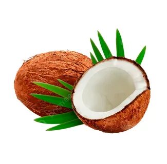 Coconut Leaves Vector Design Images, Coconut With Leaves Background Break, ...