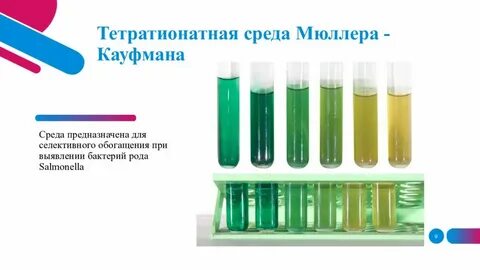 Среда накопления для сальмонелл