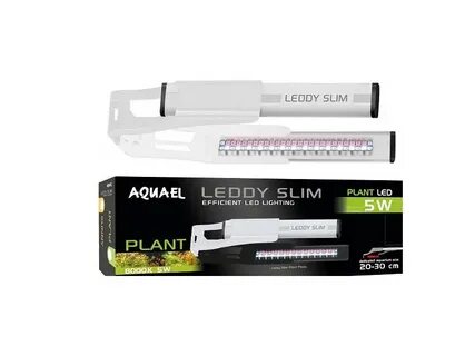Aquael leddy plant