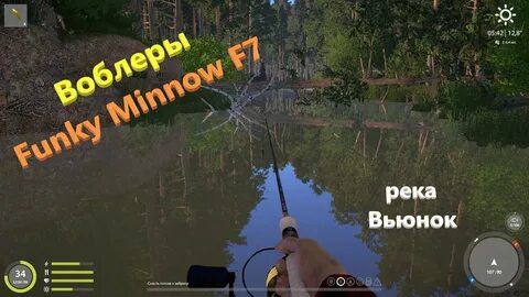 Где ловить на вьюнке