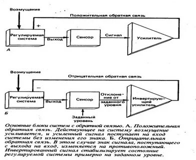 Сигнал обратная связь