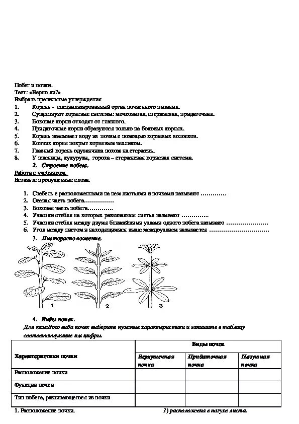 Таблица по биологии 6 класс побег и почки. Лист по биологии 6 класс побег. Побег и почка 6 класс таблица. Тест 6 класс Пасечник побег и почки с ответами.