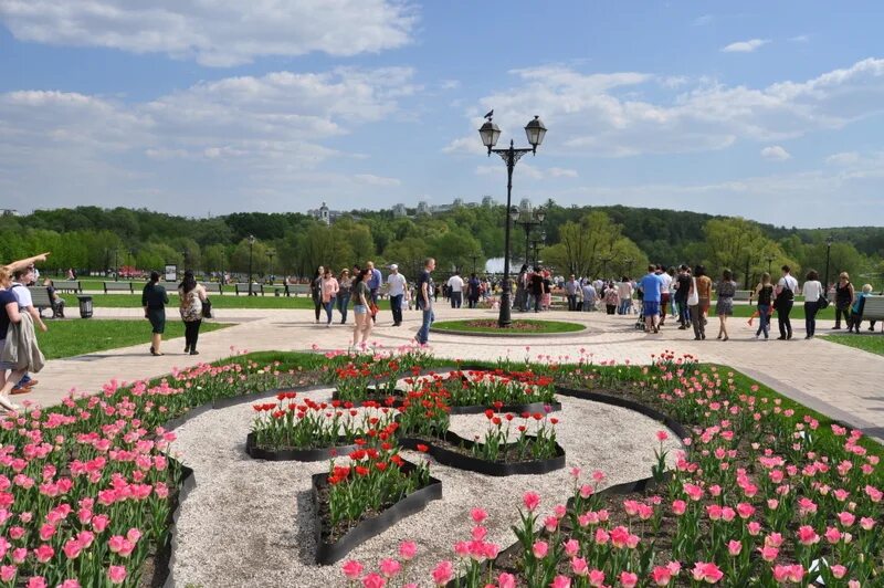 Парк царицыно мероприятия. Парк Царицыно цветники. Цветники музея заповедника Царицыно. Царицыно ландшафт. Царицыно музей-заповедник весной.