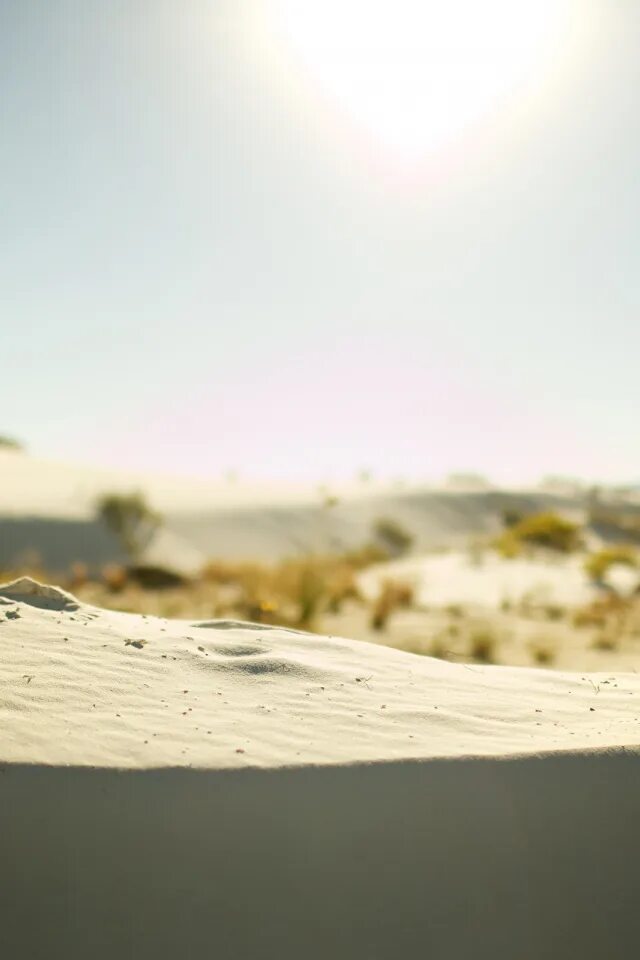 Новая жизнь жара песков. Солнце на песке. Жара природа. Зной песок. Пустыня картинки.