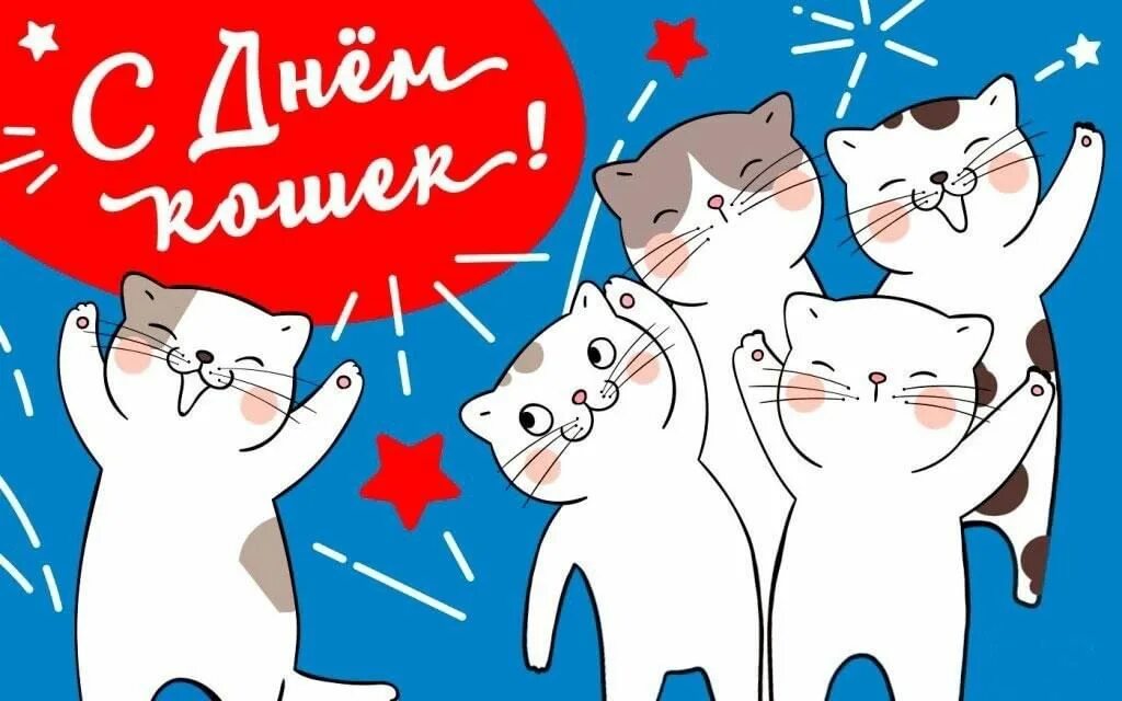 Международный день кош. День кошек международный 8 августа картинки прикольные. День кошек международный 8 августа картинки прикольные. День кошек международный 8 августа картинки прикольные. Всемирный день кошек 8 августа.