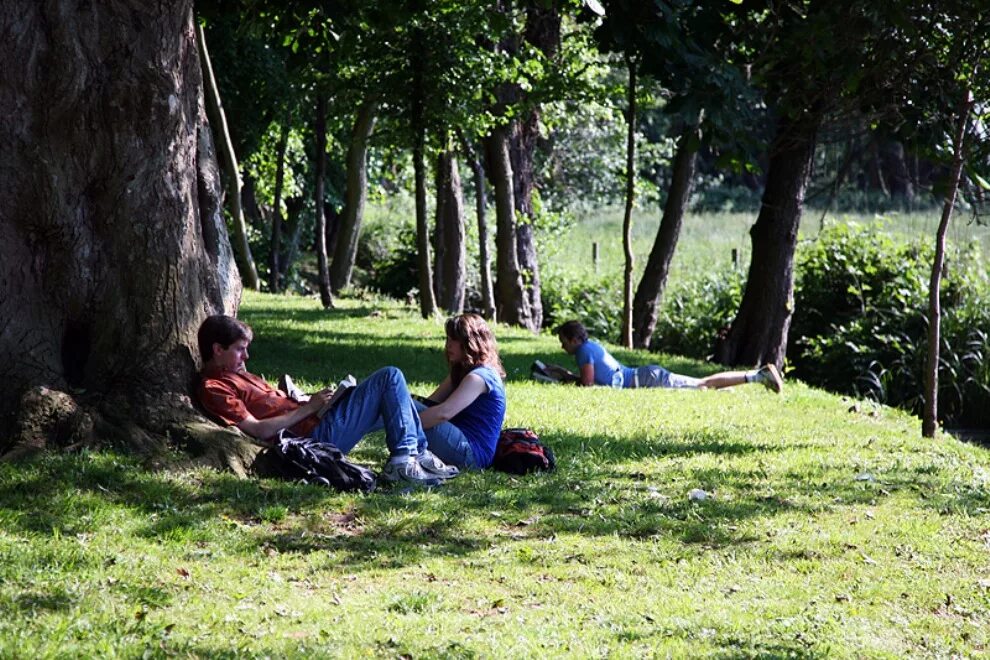 Student park. Люди отдыхают в парке. Студенческие парки. Люди которые отдыхают в парке. Парк люди отдыхают.