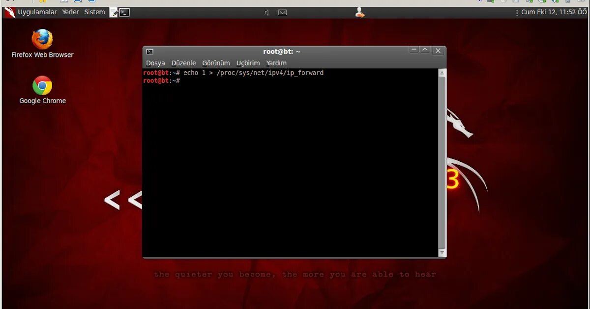 Шлюз linux. Arpspoof kali linux.