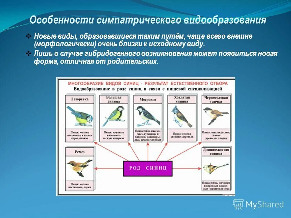 Способы видообразования 9 класс. Этапы экологического видообразования биология. способы видообразования биология 11 класс таблица. этапы экологического видообразования биология 9 класс. аллопатрическое и симпатрическое видообразование.