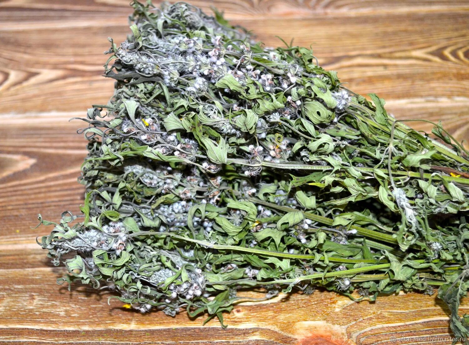 Трава пустырника лрс. Сырье пустырника. Трава пустырника 100 грамм. Пустырник сердечный сырье. Пустырник пятилопастный сырье.