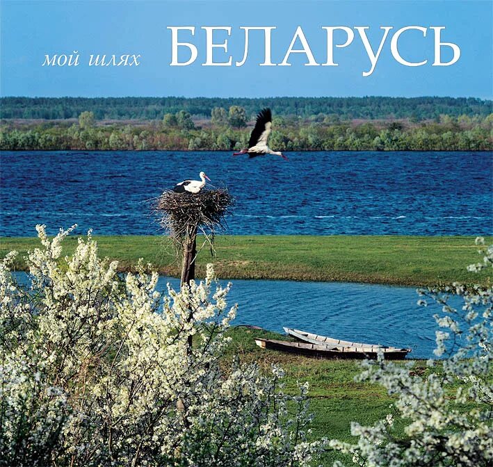 Белоруссия поле аист. Мой родны кут. Мой чароўны беларускі край 5 клас. Моя беларусь. Мой чароўны беларускі край 5 клас.