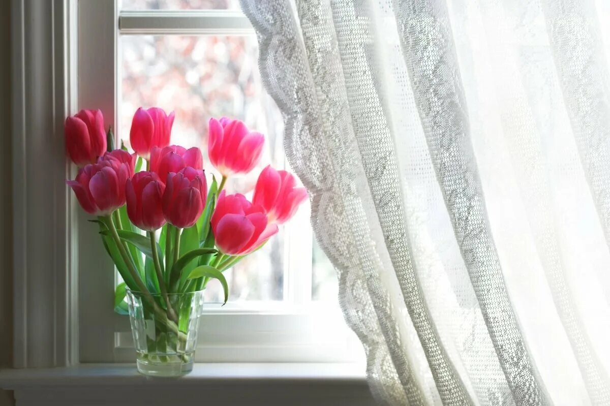 Цветы на окне. Весенние цветы на окне. Цветы в вазе на окне. Тюльпаны на окне.