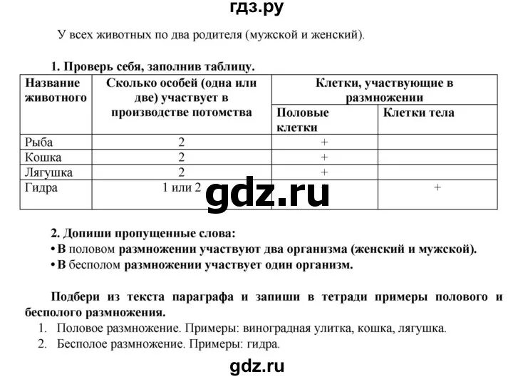 Обществознание 6 класс параграф 13 пересказ кратко. Конспект по биологии 6 класс параграф 13.