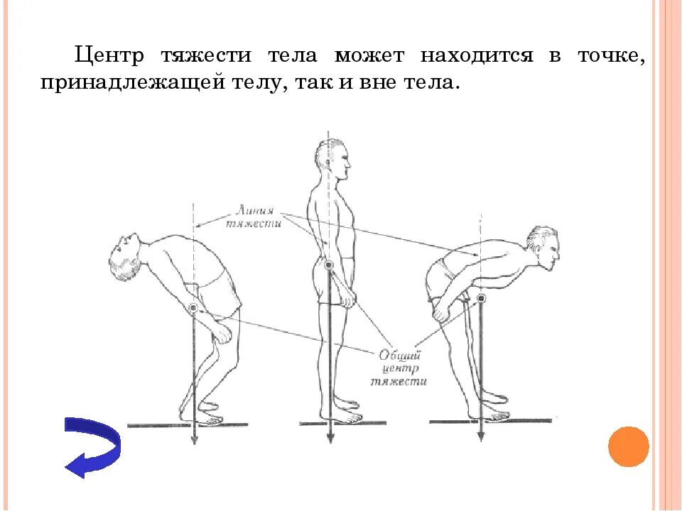 Центр массы тела человека. Общий центр тяжести. Общий центр тяжести тела. Определить центр тяжести.