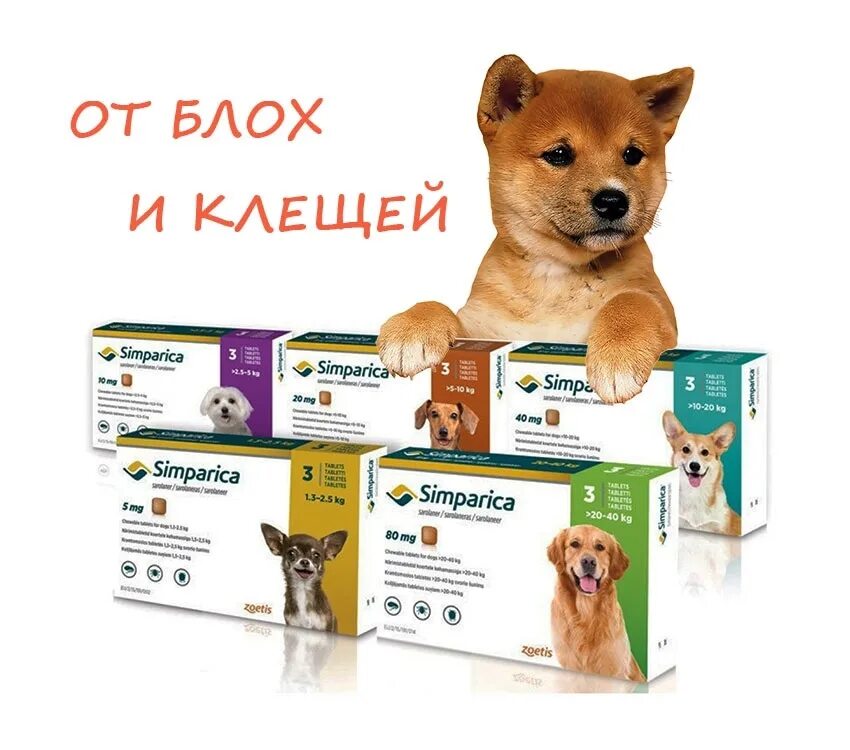Симпарика как часто давать собаке. Симпарика 120 мг. симпарика 40-60. симпарика 5-10 кг. симпарика для собак 20-40 кг.