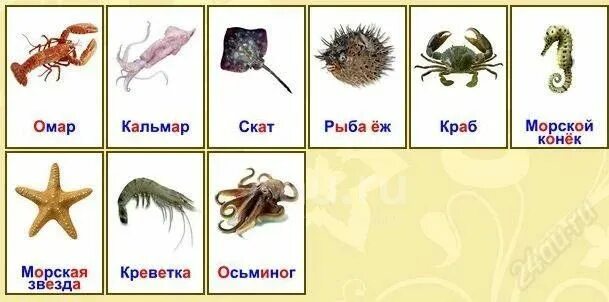 Морские обитатели картинки с названиями для детей. Плакат обитатели морей и океанов. Плакат морские обитатели для детей. Карточки с морскими животными для детей. Водные животные для детей.