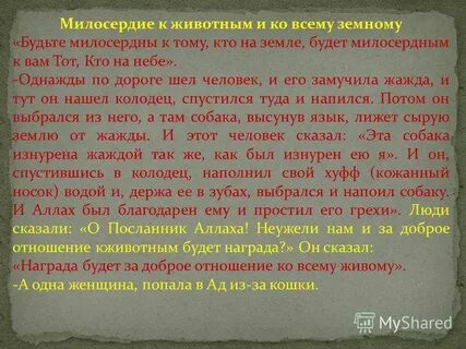 Проблема милосердия в произведениях