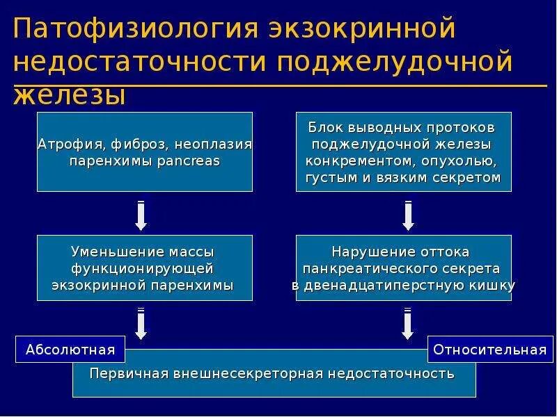 Патфиз это