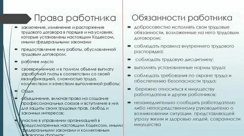 Обязанности работника указаны в трудовом договоре
