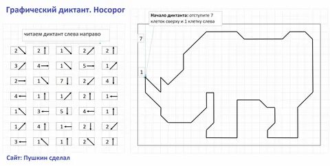 Графический диктант по клеточкам. Носорог