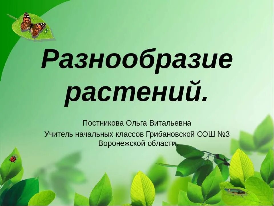 Как сохранить разнообразие растений