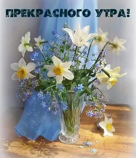 Светлейшего вам дня