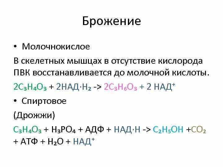 Спиртовое и молочнокислое брожение глюкозы. Молочнокислое брожение пировиноградной кислоты. спиртовое брожение глюкозы молочная кислота. молочнокислое брожение схема реакции. молочнокислое брожение уравнение.
