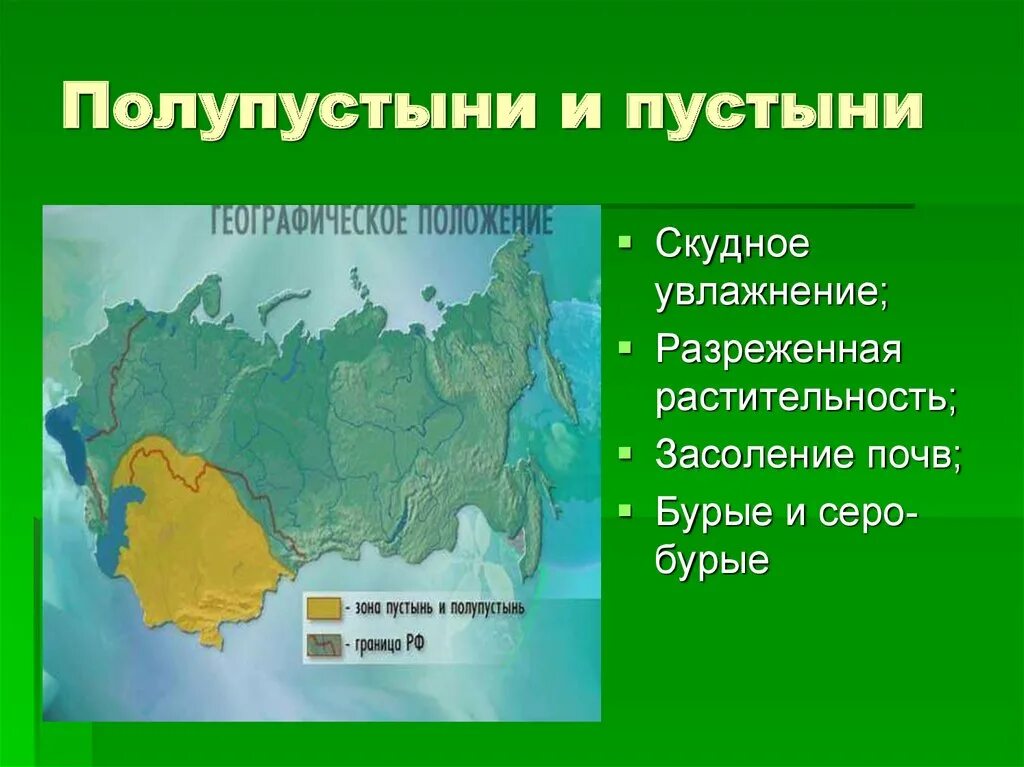 Полупустыни россии 8 класс. Полупустыни и пустыни посаы. Почвы пустынь и полупустынь в России. Почвы пустынь и полупустынь. Почвы зоны пустынь.