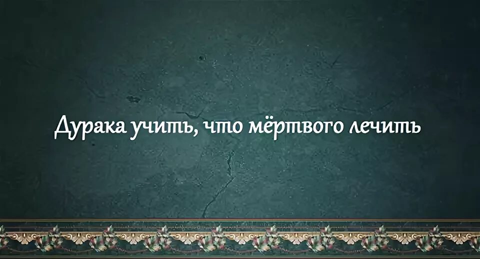 Фразы про дураков. Афоризмы про дураков. Высказывания о дураках. Дураков надо учить. Дурак любит учить